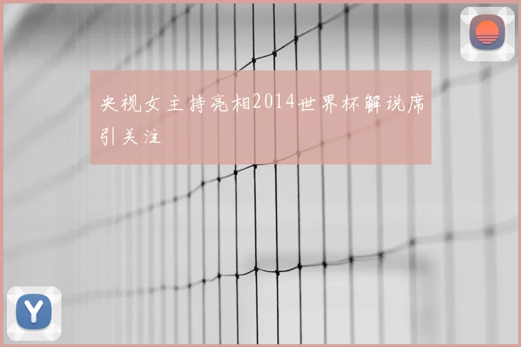 央视女主持亮相2014世界杯解说席引关注