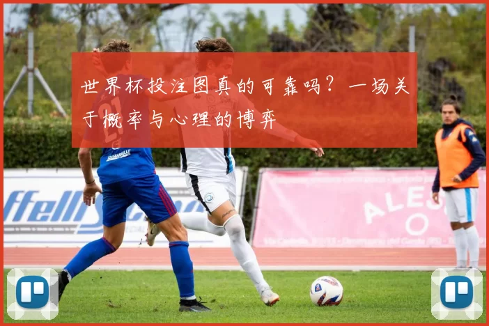 世界杯投注图真的可靠吗?一场关于概率与心理的博弈