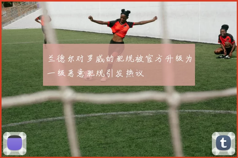 兰德尔对罗威的犯规被官方升级为一级恶意犯规引发热议