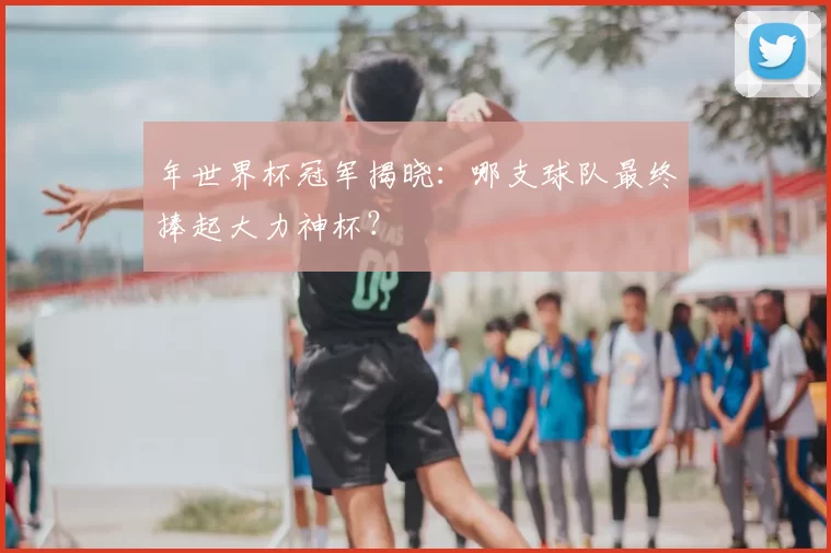 年世界杯冠军揭晓：哪支球队最终捧起大力神杯？