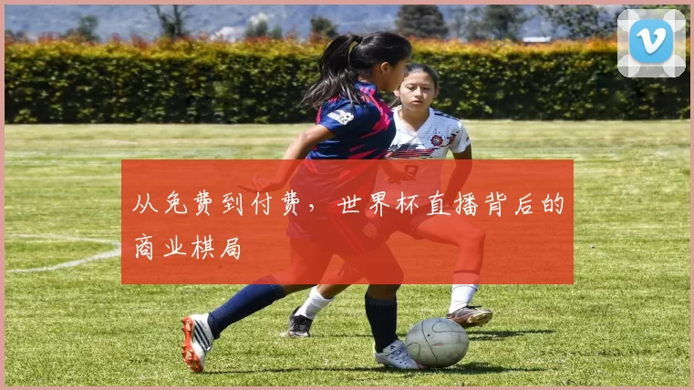 从免费到付费,世界杯直播背后的商业棋局