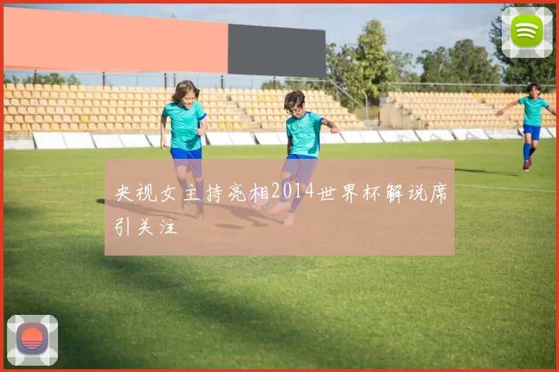 央视女主持亮相2014世界杯解说席引关注