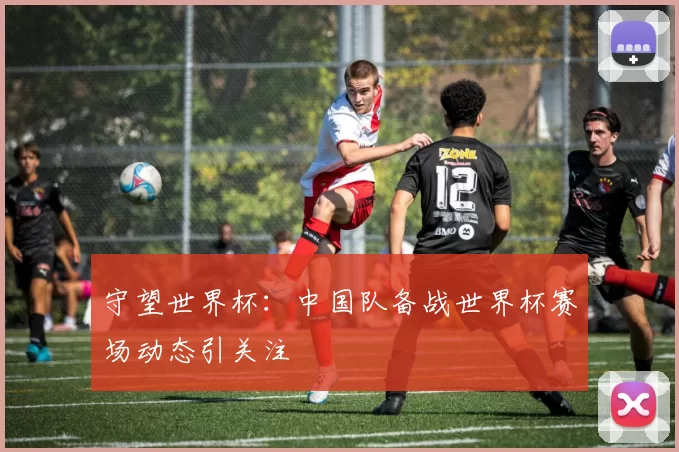 守望世界杯:中国队备战世界杯赛场动态引关注