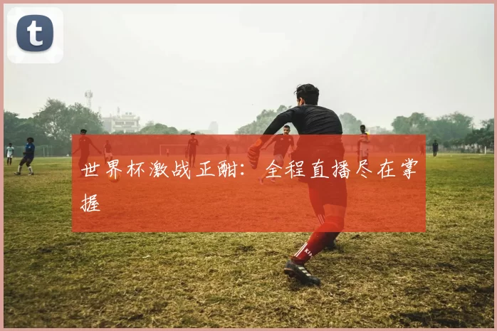 世界杯激战正酣：全程直播尽在掌握