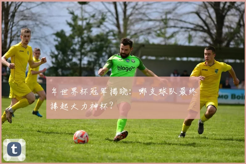 年世界杯冠军揭晓:哪支球队最终捧起大力神杯?