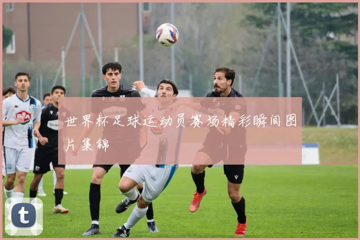 世界杯足球运动员赛场精彩瞬间图片集锦